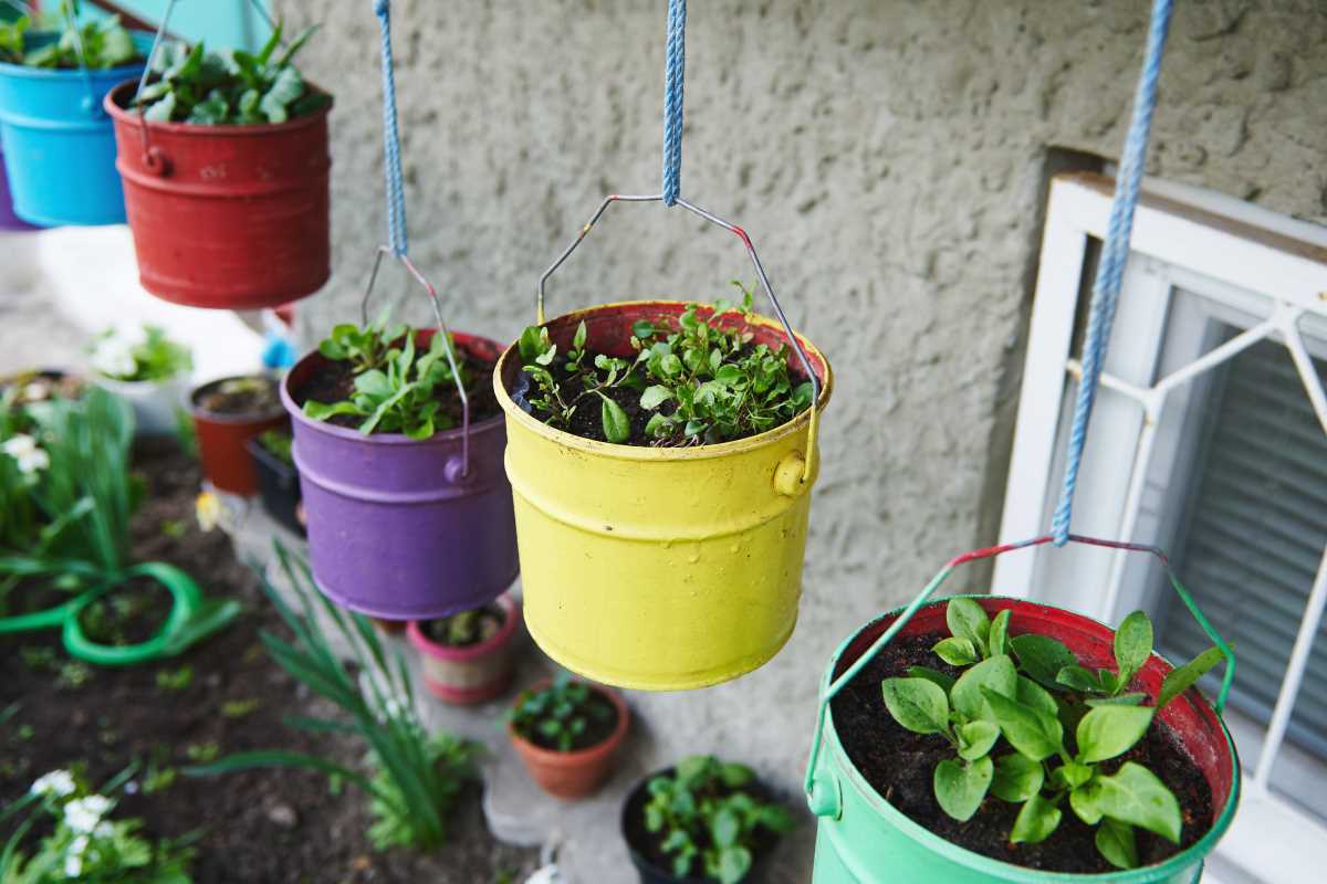 Build a Vertical Herb Garden Perfect for Balcony Cooking